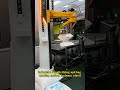 Industrial depalletizing and bag opening system (column robot)#automation #robotics #palletizing