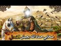 صحابي حمى الله جسده بجيش من النحل عاصم بن الأقلح آبائي ١
