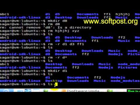 How to create a directory in Bash