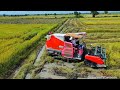 Nice Harvester Kubota Activities  Safety Operator Rice Cutting Machine