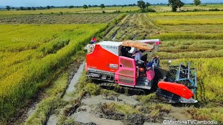 Nice Harvester Kubota Activities Safety Operator Rice Cutting Machine