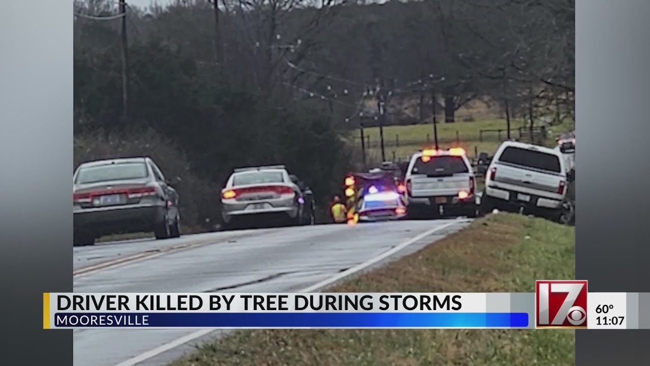 NC driver dies after tree falls on pickup during storms - YouTube