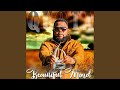 Beautiful Mind mp3