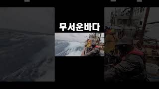 무서운 바다  #낚시 #자연 #fishing #서욱짱tv #심해갑오징어 #갑오징어낚시