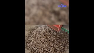 A pellet production lines installed in China | Let’s learn how to make log pellets together