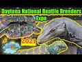 Daytona National Reptile Breeders Expo 2021: Part 1