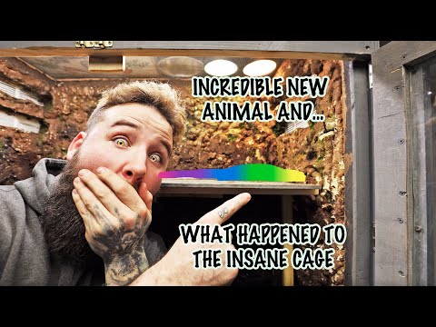 NEW ANIMAL REVEAL!! WHAT HAPPENED TO THE HUGE CAGE?!