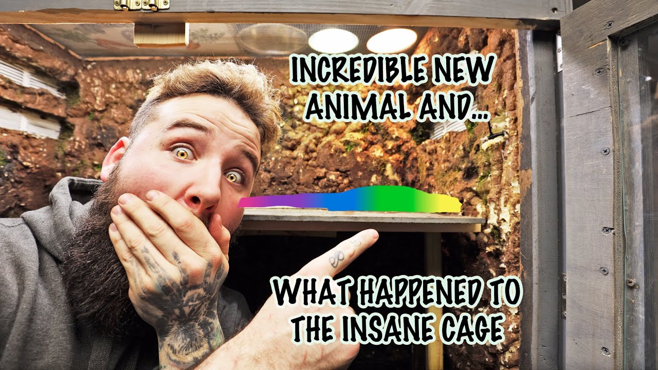 NEW ANIMAL REVEAL!! WHAT HAPPENED TO THE HUGE CAGE?!