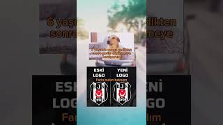 6 Yaşında Canga Yedikten Sonra Gorile Dönüşmeyi Bekliyorum Şfet