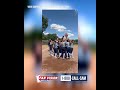 Fan Vision: Livonia Stevenson Softball Regional Champions