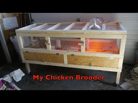 How I made my Chicken Brooder - YouTube