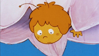 Maya The Bee - Stereo Bluray Intro