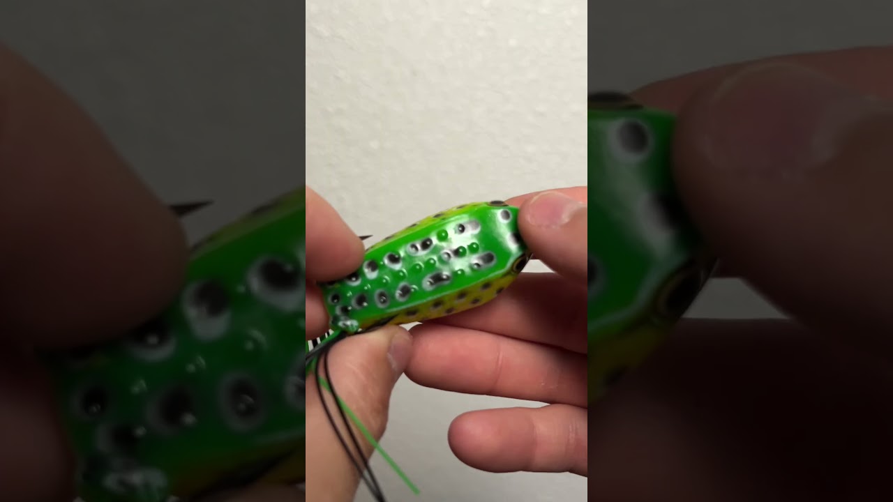 Is This $2 Walmart Frog a SCAM? (Teaser)