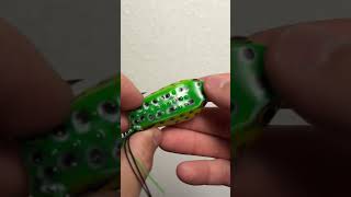 Is This $2 Walmart Frog a SCAM? (Teaser)