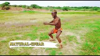 Kgomo Di Sia Ka Marole