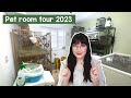 Pet room tour 2023 | Rodents &amp; Reptiles