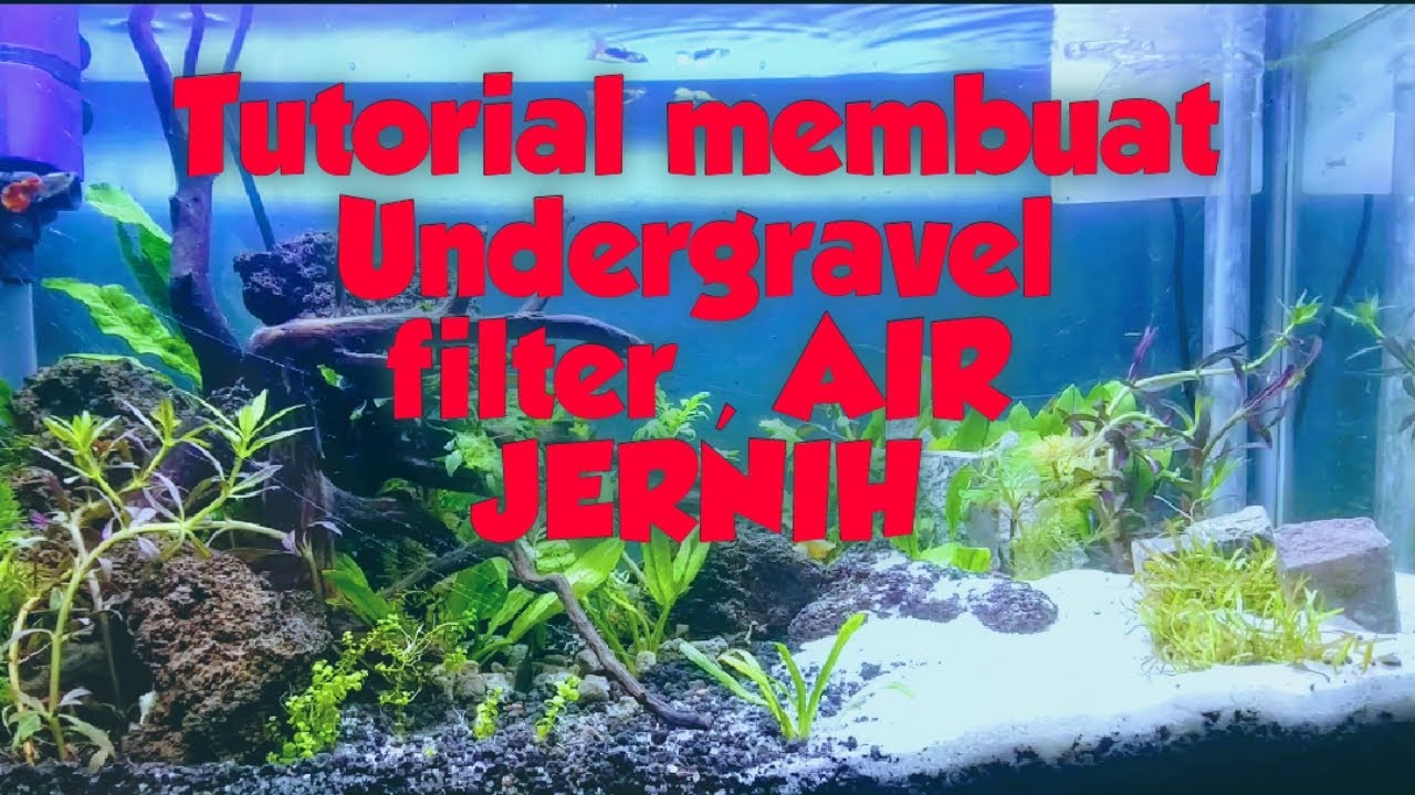 Cara Memasang Undergravel Filter Aquarium