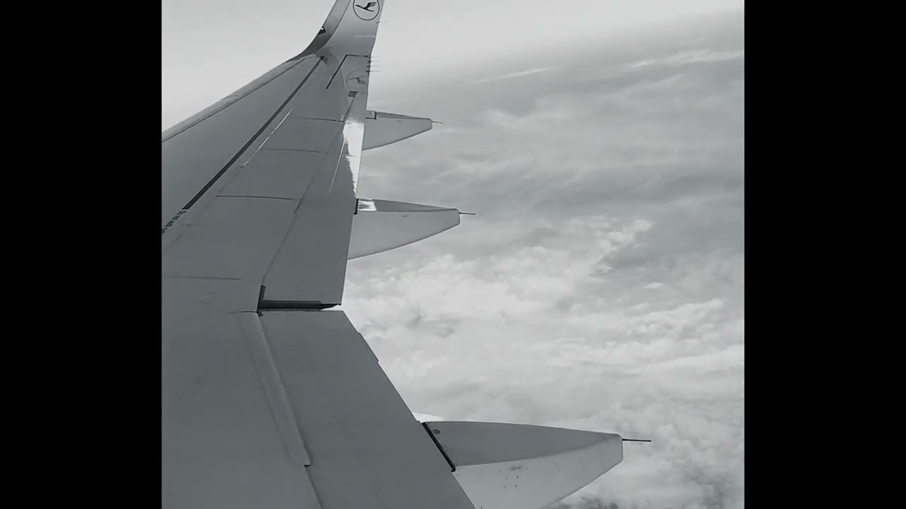 OliiiPi - My 8 Billion Choices - Techno set 