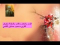 الزمر والحشر والقمر والقصار الشيخ محمود حسانين الكلحي 