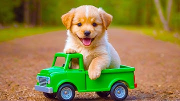 Blender with Stable Diffusion XL - Cute puppy riding a toy truck