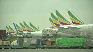 Ethiopian Airlines profits from cargo boom