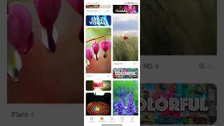 Set Wallpaper In Xiaomi 12 Lite, How To Change Wallpaper In Xiaomi 12 Lite, Xiaomi 12 Lite Mein screenshot 4