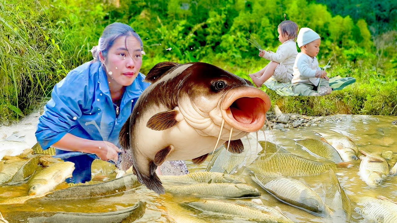 How to Block Water and Catch Giant Fish – Grilled Fish Family Cooking