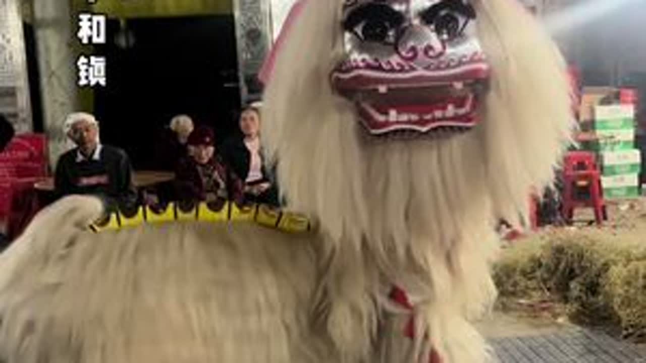 😭😭😭老秋舞狮团小白狮在宁远中和镇…#舞狮表演 #非遗文化传承 #湖南小白狮 #永州小白狮 #老秋舞狮团