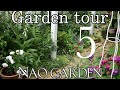 【ガーデニング vlog 】ステキなお花が咲き誇る5月最初のガーデニング ツアー｜夏苗の準備｜50代の庭｜Exciting garden tour in early May