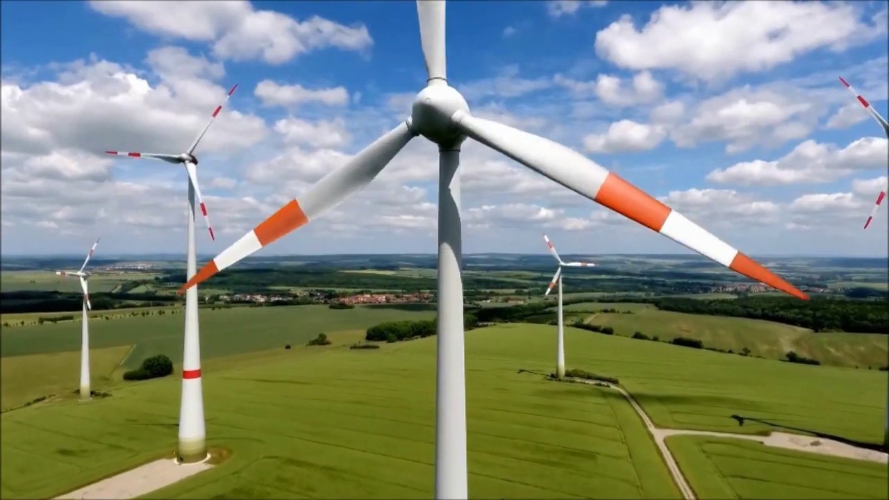 Die sanften Riesen (Bach)