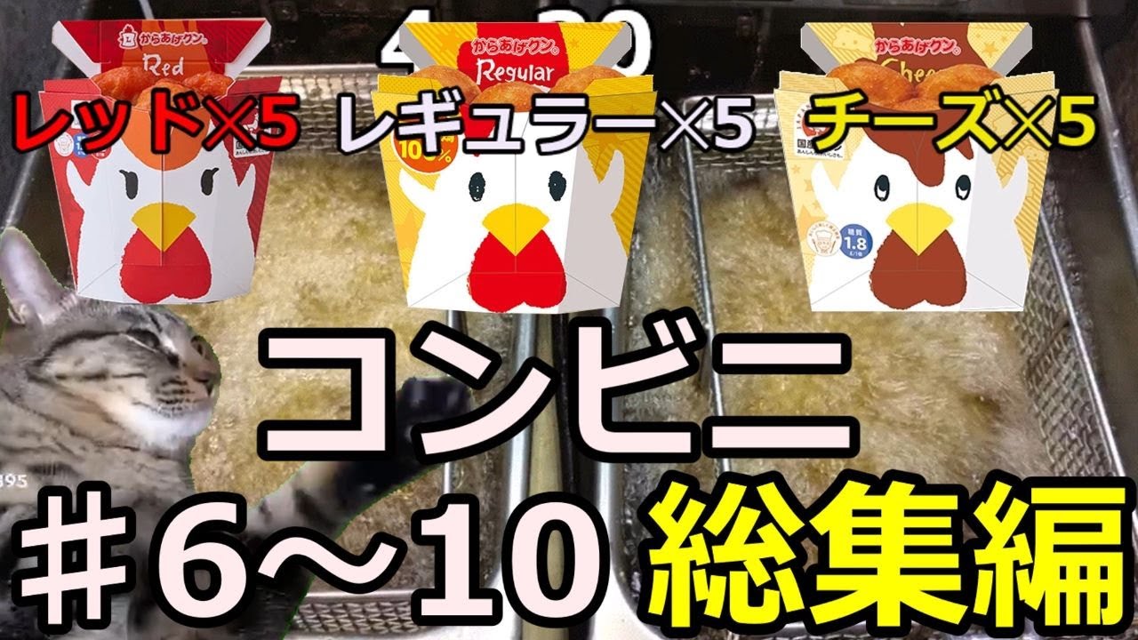 【猫ミーム】深夜コンビニの闇大集合♯6～10【総集編】