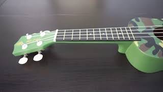 Honsing Kids Ukulele,Soprano Ukulele Beginner