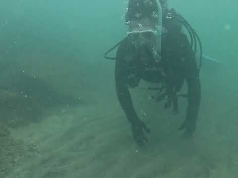 沖ノ島ビーチでの体験ダイビング!群馬からの参加者が体験した色とりどりの魚たちと透明度3mの海【2024年10月2日】