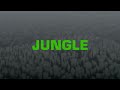 Capture de la vidéo The Blaze X Endel - Jungle (Sleep Soundscape)