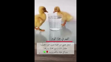 إِنَّمَا أَمْرُهُ إِذَا أَرَادَ شَيْئًا أَن يَقُولَ لَهُ كُن فَيَكُونُ) (سورة يس آية 82).