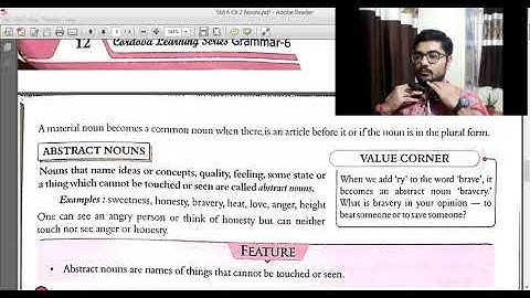 Standard 6 Grammar Chapter 2 Nouns Part 2 and over