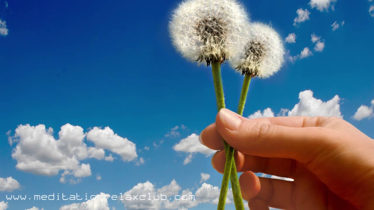 Relaxing Natural Music for Inner Rebirth and Chakra Balance, New Age Sleep Music meditation music zen