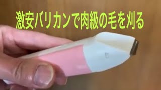 【使えるの？】安いバリカンで肉球の毛をカット