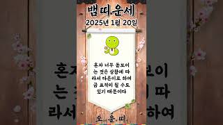 오늘의 뱀띠 운세 2025년 1월 20일 #뱀띠 #오늘의운세 #내일의운세 #운세 #운세쇼츠