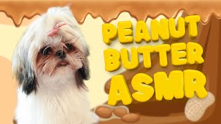 Puppy Eats Peanut Butter For The First Time (ASMR)