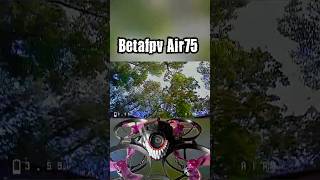 Betafpv Air75 😏 #fpv #drone #tinywhoop #betafpv #air75 #fpvfreestyle #fyp #shorts