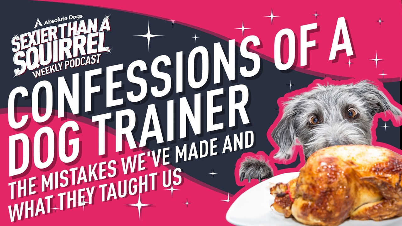 Confessions of a Dog Trainer: The Mistakes We've Made and What They Taught Us