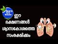 ശ്വാസ കോശ രോഗങ്ങളെ തടയാന്‍ ഈ ഭക്ഷണങ്ങള്‍ ശീലമാക്കുക |Food for lung deceases