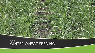 Winter Wheat Seeding (From Ag PhD Show #1168 - Air Date 8-23-20)