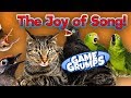The Joy of Song! Vol. 1