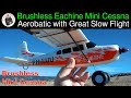Aerobatic with great Slow Flight Capability! Brushless Eachine Mini Cessna 550mm Micro Bush Plane