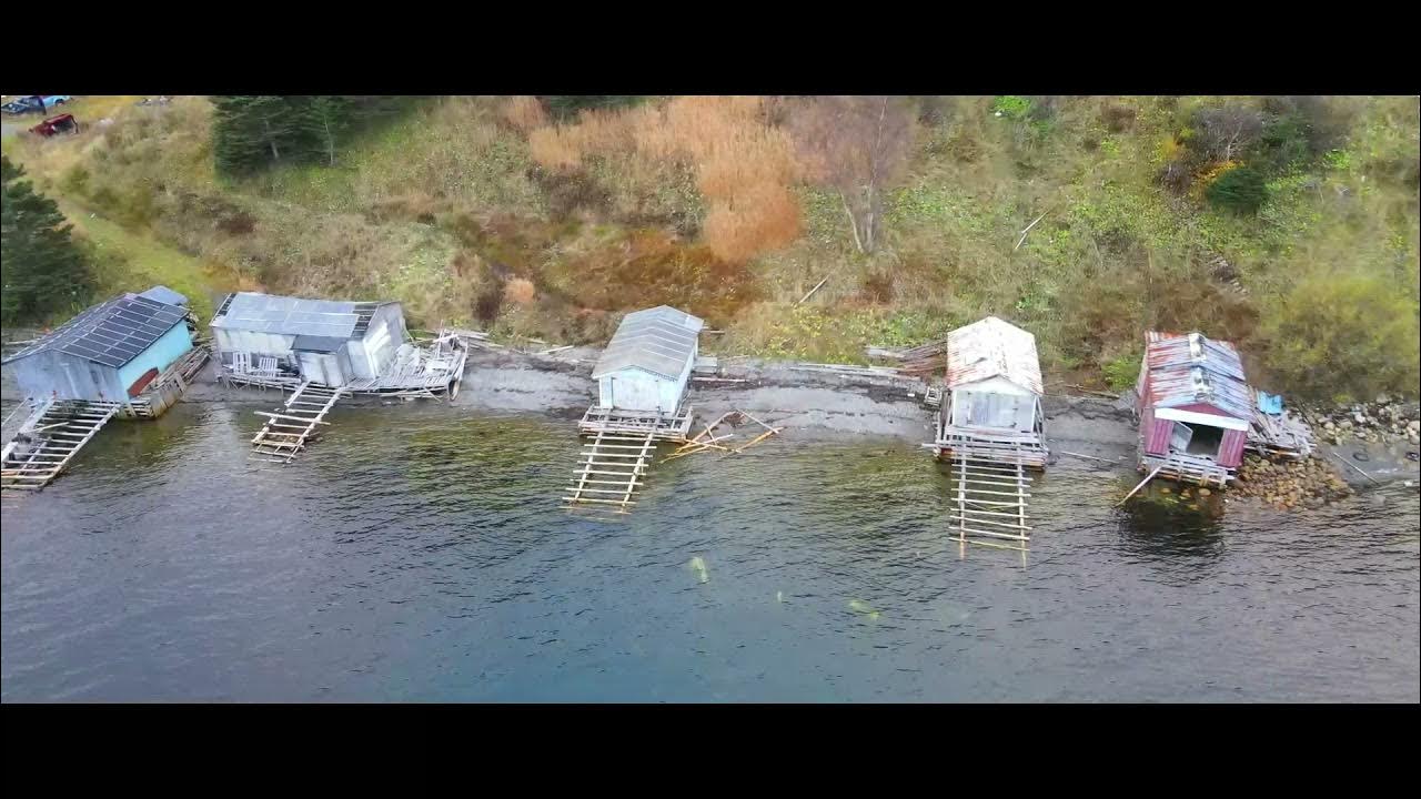 Cox Cove, NL YouTube