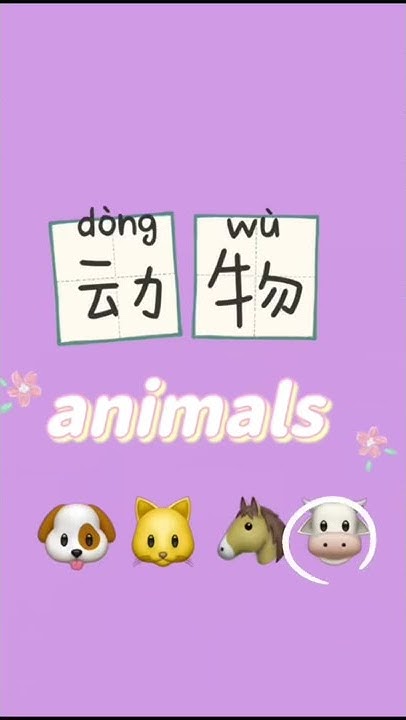 do-you-know-how-to-say-cow-in-chinese-sabes-lo-que-dicen