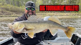 Fishing for BIG Walleye in a Tournament!