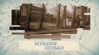 Большие пеньки / «Малые родины большого Петербурга»